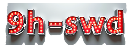 9h-swd logo